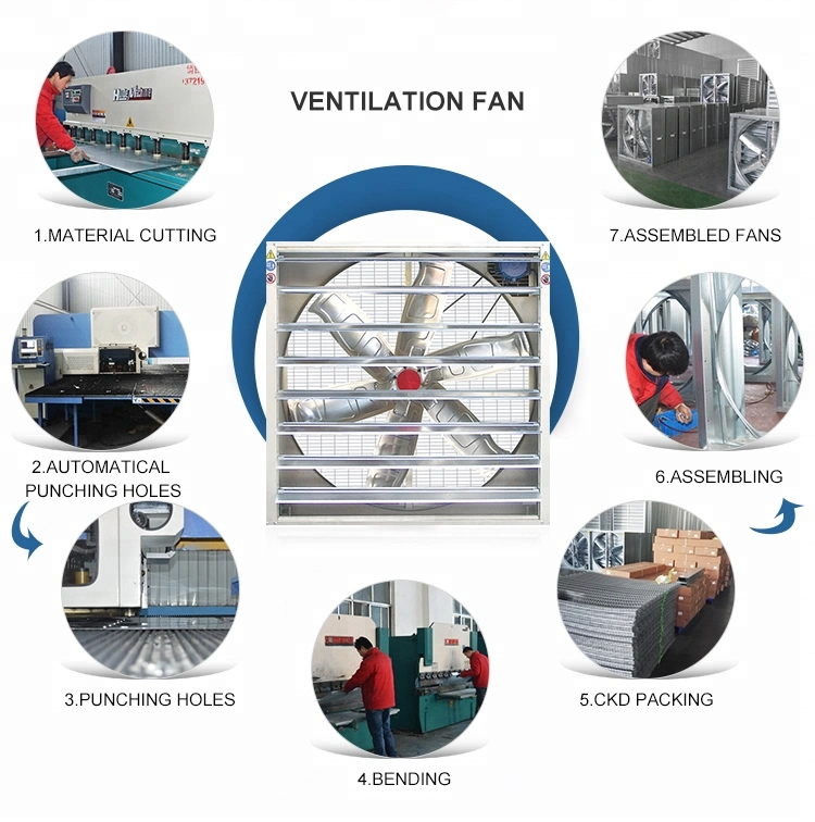 Automatic Exhaust Fan Cooling Fan Push-Pull Fan for Greenhouse Circulating