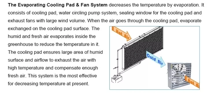 Extractor Axial Fans Ventilation Cooling Ventilator Centrifugal for Warehouse Fan Greenhouse Circulating